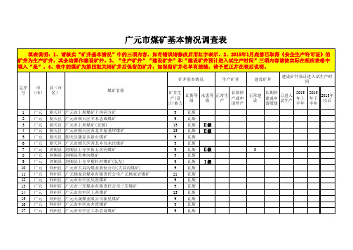 广元市煤矿基本情况调查表