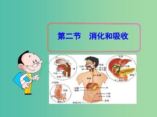 七年级生物下册 2.2 消化和吸收课件 新人教版PPT