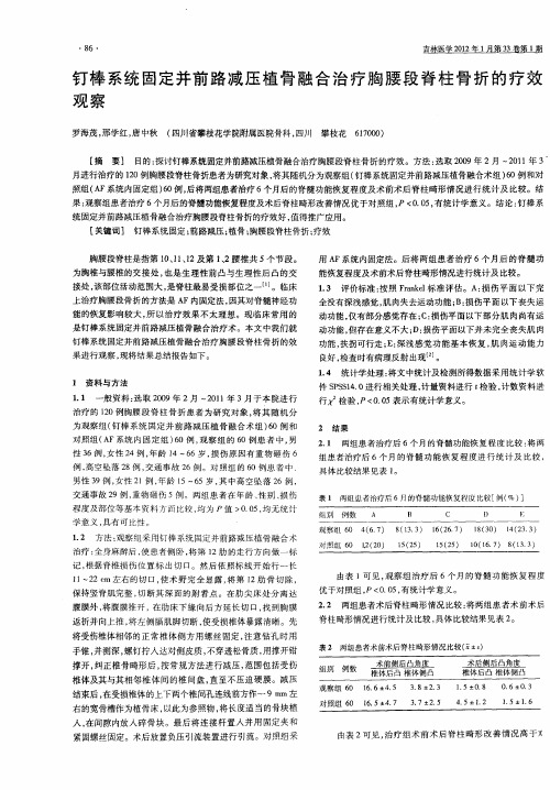 钉棒系统固定并前路减压植骨融合治疗胸腰段脊柱骨折的疗效观察