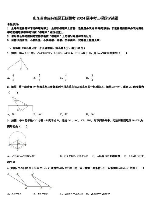 山东省枣庄薛城区五校联考2024届中考三模数学试题含解析