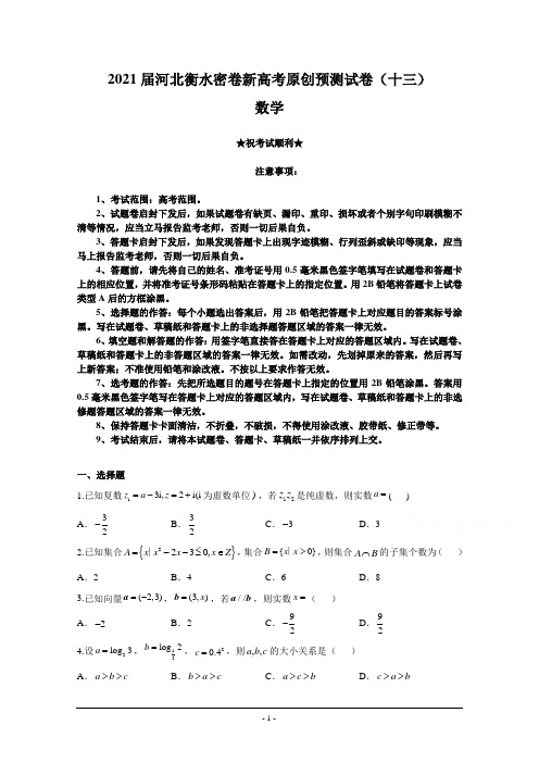 2021届河北衡水密卷新高考原创预测试卷(十三)数学
