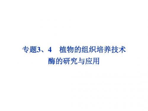 高考生物一轮复习课件 选修1专题3、4