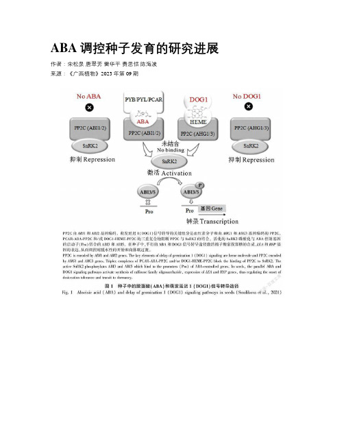 ABA调控种子发育的研究进展