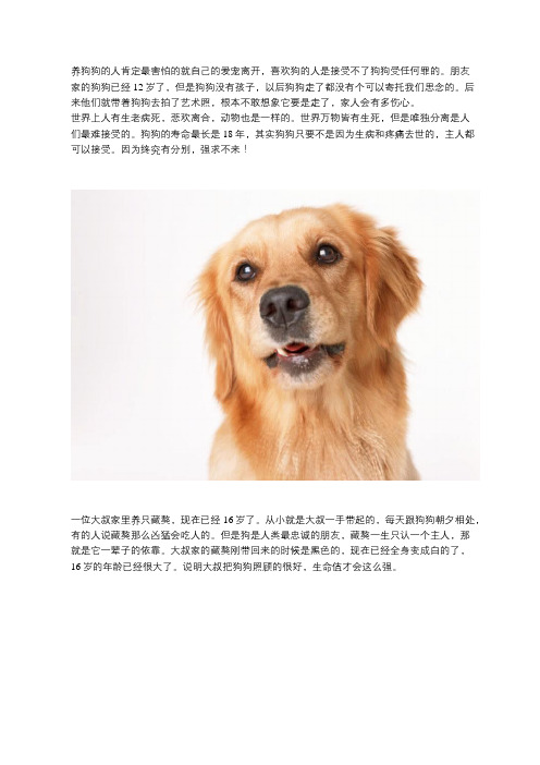 主人养了16年的藏獒,老的眼睛都看不见了,主人：此生再不养狗