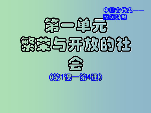 中考历史专题复习 七下 第一单元 繁荣与开放的社会1 新人教版