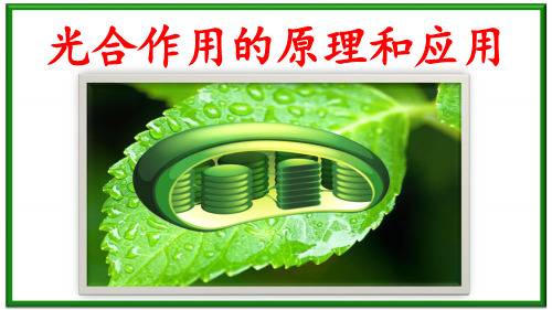 光合作用的原理和应用课件(省公开课)