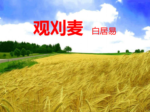 《观刈麦》PPT【完美版课件】