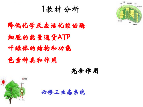 光合作用说课稿ppt课件