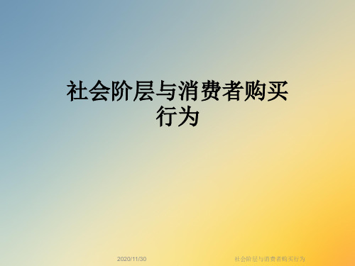 社会阶层与消费者购买行为