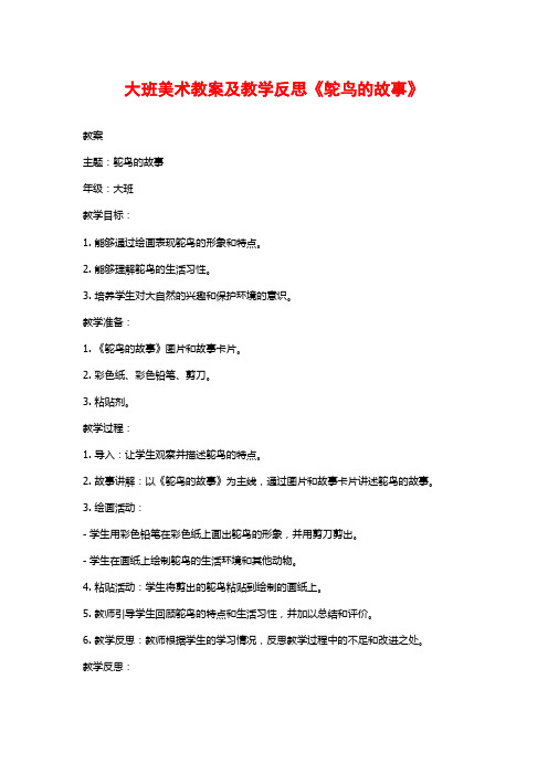 大班美术教案及教学反思《鸵鸟的故事》