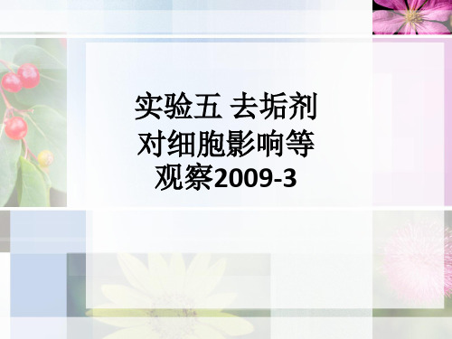 实验五 去垢剂对细胞影响等观察2009-3ppt课件