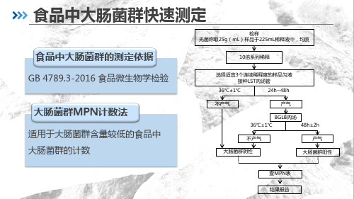 9.6.186.食品微生物快速检测大肠菌群快速检测