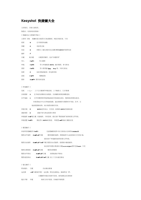 Kesyshot 快捷键大全