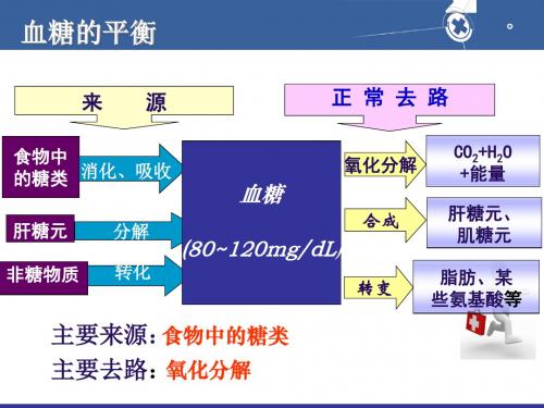 危重患者的血糖控制与护理