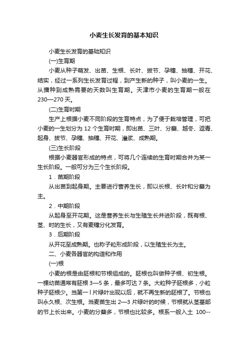 小麦生长发育的基本知识