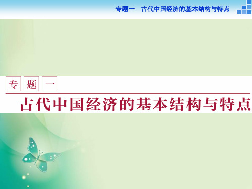 历史人民版必修2 专题一一 古代中国的农业经济 课件(45张)