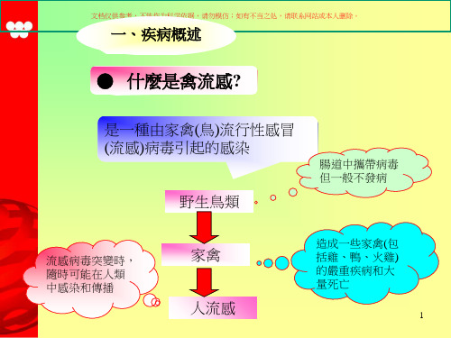 预防禽流感专题知识宣讲课件