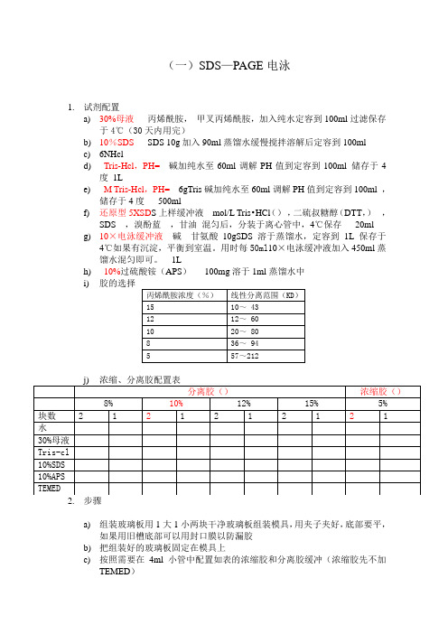 SDS—PAGE电泳westernblot最终