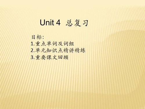 人教版九年级英语 Unit4  复习课件 (共15张ppt)