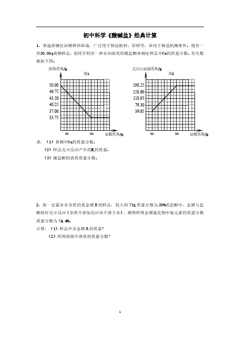 浙江省初中科学--化学《酸碱盐》计算