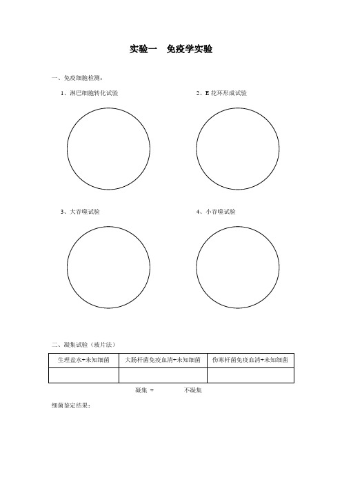 免疫学实验报告