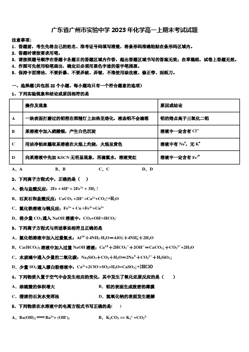 广东省广州市实验中学2023年化学高一上期末考试试题含解析