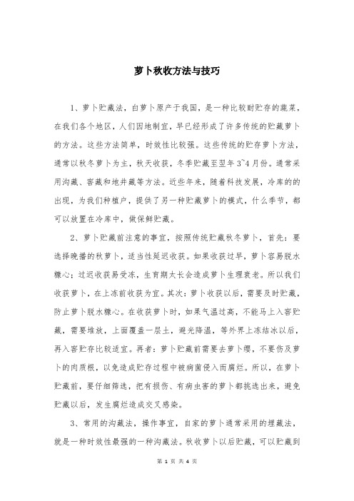 萝卜秋收方法与技巧