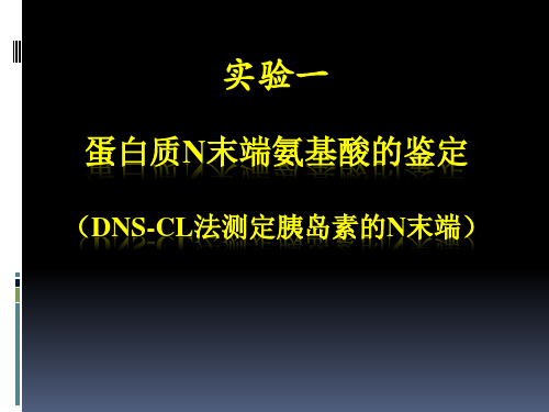 01 实验一  蛋白质N末端氨基酸的鉴定(二甲氨基萘磺酰氯,DNS-Cl,胰岛素)