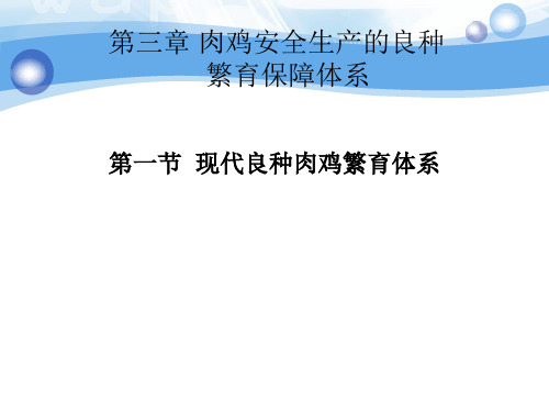 现代良种肉鸡繁育体系