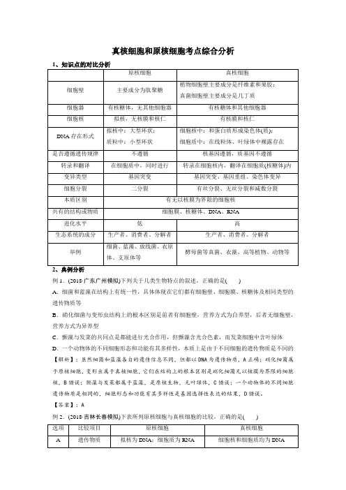 真核细胞和原核细胞考点综合分析