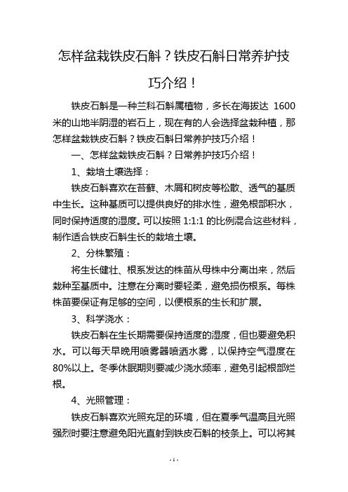 怎样盆栽铁皮石斛？铁皮石斛日常养护技巧介绍!