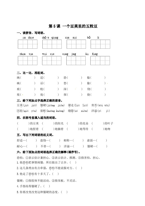 部编版四年级上册语文一课一练-第5课 一个豆荚里的五粒豆(含答案)