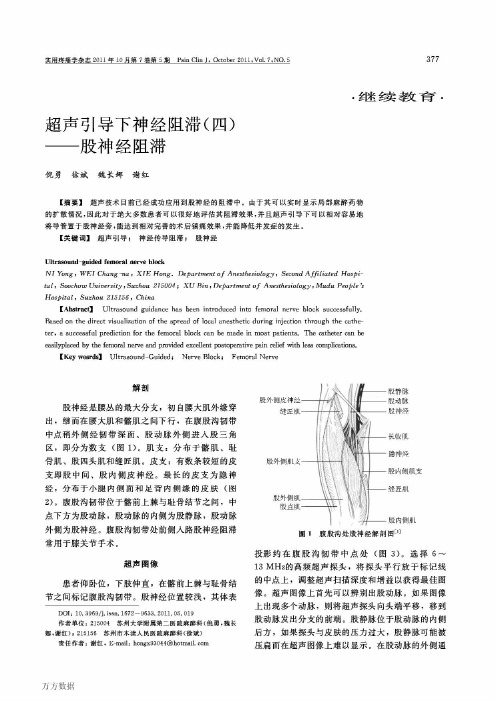 超声引导下神经阻滞(四)——股神经阻滞