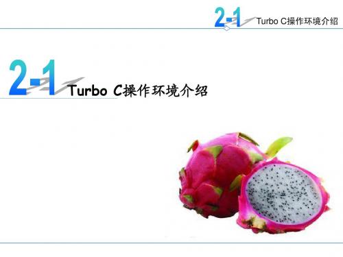 ch1-ch2_turbo c操作环境介绍