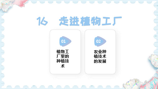 16  走进植物工厂(课件)-2024-2025学年人教鄂教版科学六年级上册