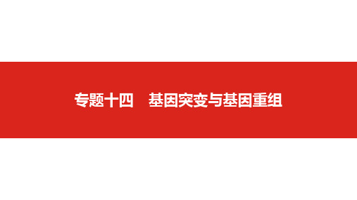 2019版高考生物一轮复习名师课件:第六单元专题十四 基因突变与基因重组 (共53张PPT)