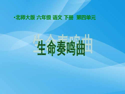 北师大版小学六年级下册语文《生命奏鸣曲》课件PPT课件PPT