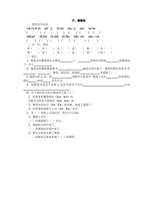 人教版二年级语文下册10、葡萄沟同步练习题
