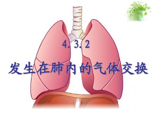 发生在肺内的气体交换