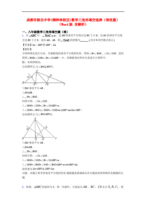 成都市棕北中学(桐梓林校区)数学三角形填空选择(培优篇)(Word版 含解析)