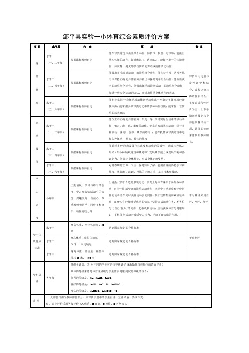 一小体育综合素质评价方案项目