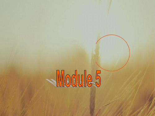 外研版高中英语必修三课件：Module5 Great people and Great Invent