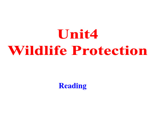 人教版 必修二 Unit 4 Wildlife protection-Reading市级公开课课件(共26张PPT)