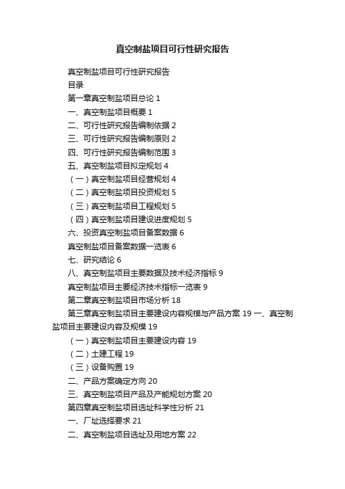 真空制盐项目可行性研究报告