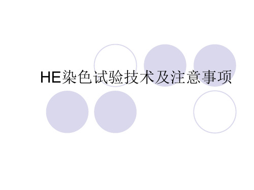 HE染色