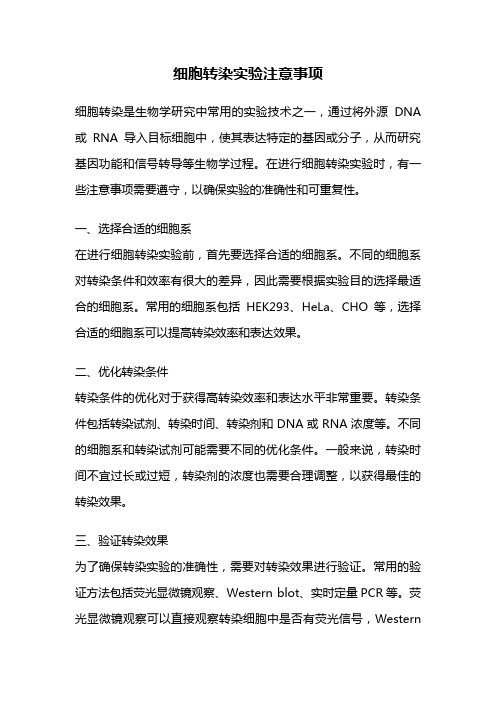 细胞转染实验注意事项