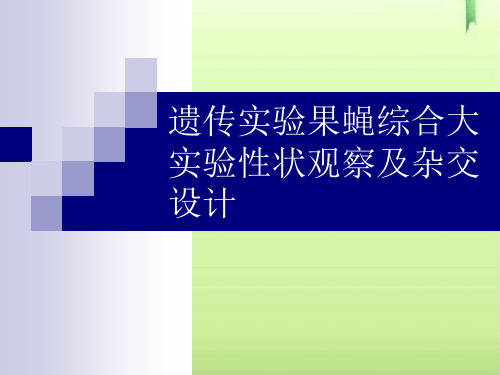 遗传实验果蝇综合大实验性状观察及杂交设计