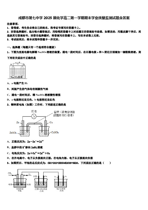 成都市第七中学2025届化学高二第一学期期末学业质量监测试题含答案