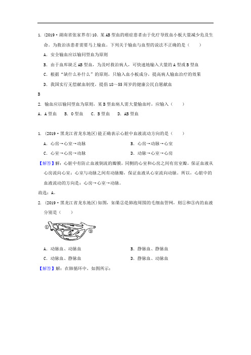 2019中考生物真题分类汇编——血液循环
