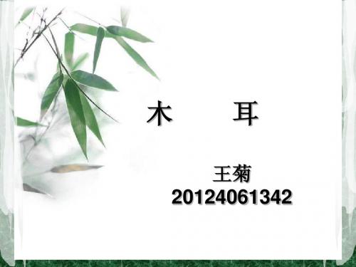 木 耳